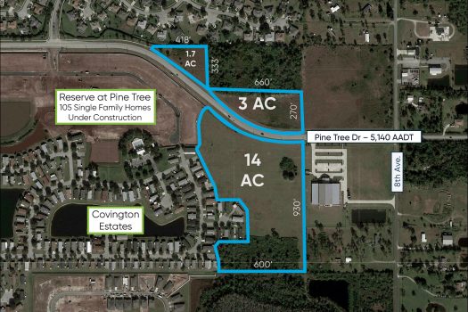 Pine Tree Drive Main Image